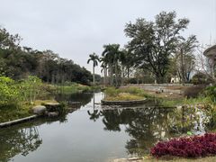 -云溪植物园