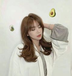 -IDOL-PLUS
