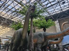 -国家自然博物馆