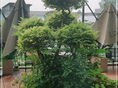 -La Terre乐田(万象城店)