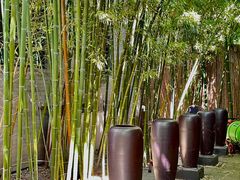 -上海老饭店(北京分店)