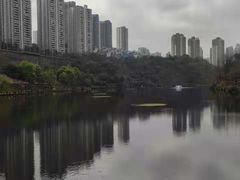 -重庆彩云湖湿地公园