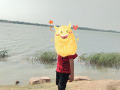 -丁香湖公园
