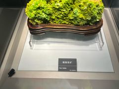 -安徽省地质博物馆