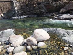 -黑河国家森林公园