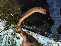 -陕西自然博物馆