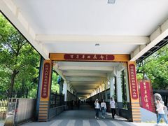 -华西村