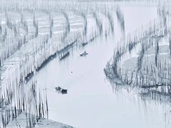 -北岐滩涂