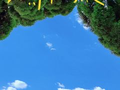 -小麦岛公园