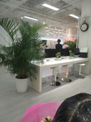 -P.STYLE派斯造型