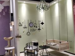 -藏猫猫咖啡主题馆(中央大道店)