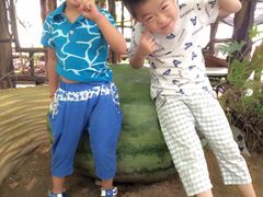 -祥源·阜阳生态乐园