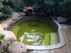 室外温泉-余姚阳明温泉山庄
