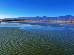 -野鸭湖国家湿地公园