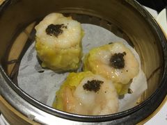 -糖朝(尖沙咀店)