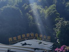 -西双版纳原始森林公园