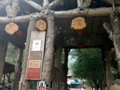 -天门沟九州驿站树上汤泉
