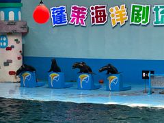 -蓬莱欧乐堡海洋极地世界