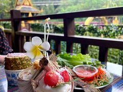 -西双版纳原始森林公园