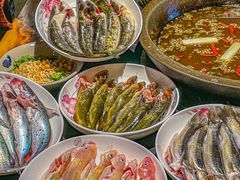 -石锅苗苗鱼(武汉首店)