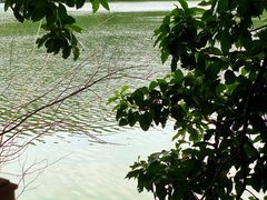 -水濂山森林公园