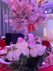 -曼格纳婚礼艺术中心(张江店)