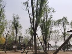 -东郊湿地公园