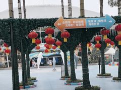 -海合安成都极地海洋公园