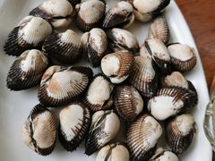 -胖大嫂渔家排档·全海景餐厅(渔村店)