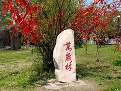 -东方大寿星园