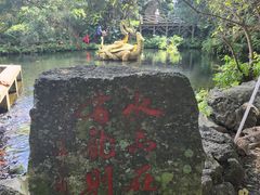 -海口火山口国家地质公园