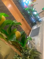 -芳朵美容养生SPA