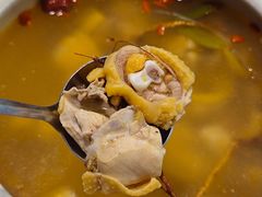 五指毛桃石橄榄鸡煲-金龙·打边炉(南京西路店)