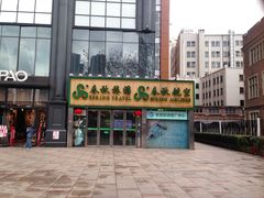 -春秋旅游航空(西藏路分部)