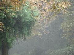 -山王坪喀斯特国家生态公园