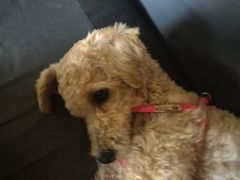 -南京夫子庙国际青年旅舍(平江府路店)