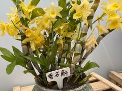 -万顷园艺世界