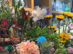 -谷莠子花艺·气球派对·绿植造景·花艺沙龙(金光华广场店)