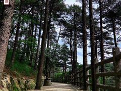 -黄山风景区