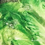 宴客菜食谱🔸蚝油生菜