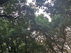 -龙翔服饰城(龙翔大厦店)