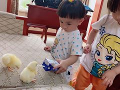 -兴芮温泉度假区