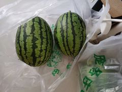 -庞各庄西瓜蔬菜采摘园·锦华瓜园
