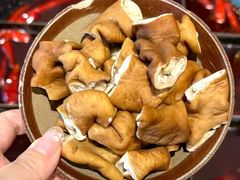 -胖碗火锅(观音桥店)