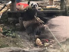 -大连森林动物园