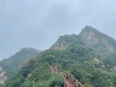 -大岭沟猕猴桃谷风景区