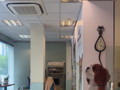 -瑞派申生动物医院·24H夜诊·国际动物医疗中心·骨外科(吴中路店)