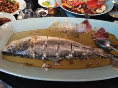 清蒸鲥鱼-夜上海(新天地店)