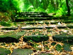 -会稽山峡洞漂流-上青古道