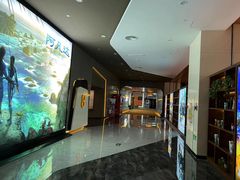 -北京英嘉国际影城(金源CINITY店)